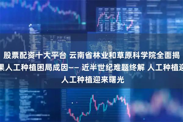 股票配资十大平台 云南省林业和草原科学院全面揭示蒜头果人工种植困局成因—— 近半世纪难题终解 人工种植迎来曙光